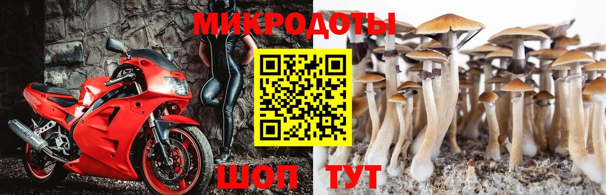 Галлюциногенные грибы мухоморы  Псилоцибиновые грибы Psilocybe  Георгиевск  Вход с VPN 